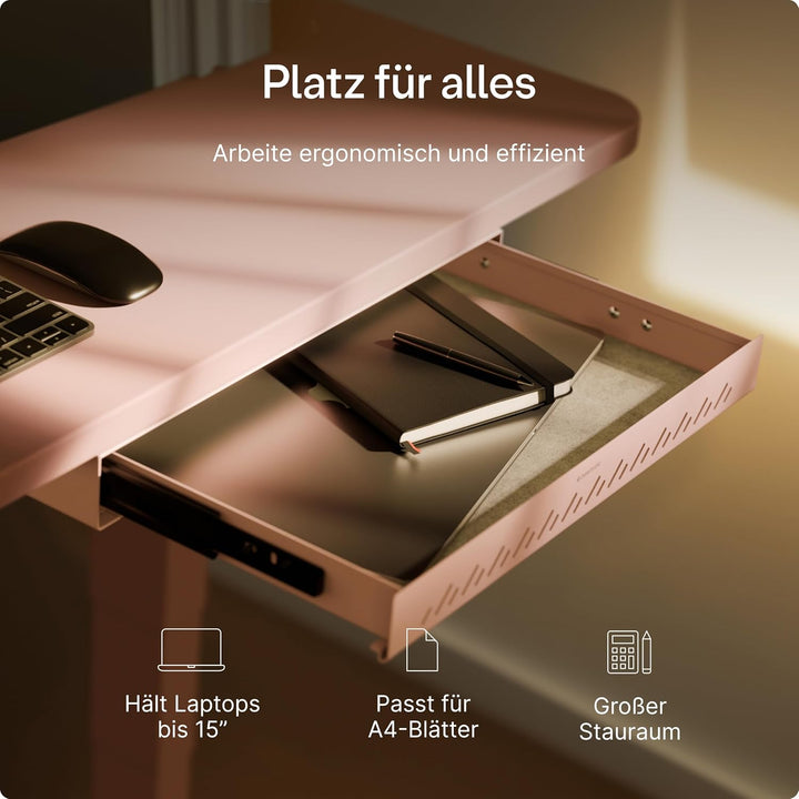 Desktronic Schreibtisch-Organizer, Untertisch-Aufbewahrungsbox, Schreibtisch für Büro Schule Homeoff
