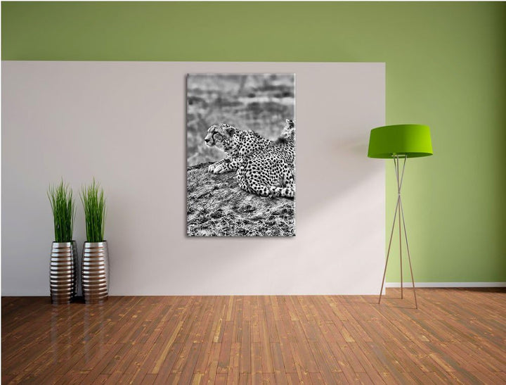 Pixxprint Monocrome, prächtige Geparden auf Stein, Format: 100x70 auf Leinwand, riesige Bilder ferti