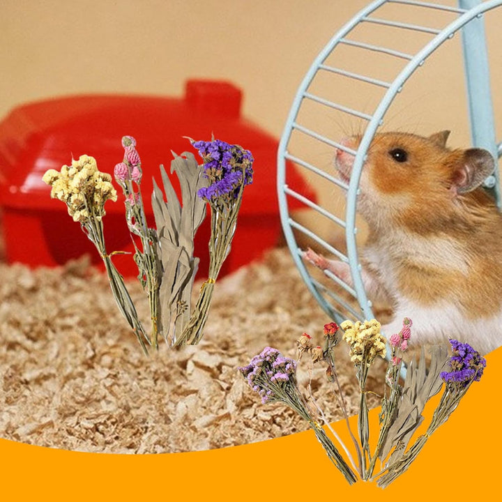 Generisch Hamster Einstreu, 25 cm Natürlich Getrocknete, Trockenblumen Für Hamster, Hamsters Einstre
