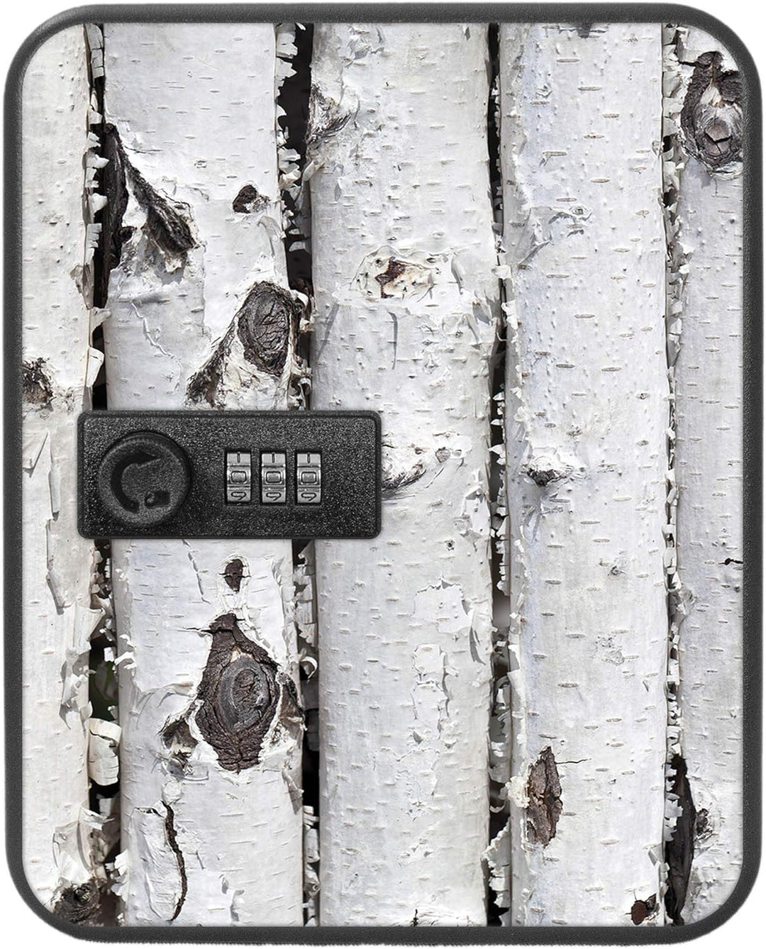 banjado® Burg-Wächter® abschliessbarer Schlüsselkasten mit Motiv Birkenrinde für 20 Schlüssel - Schl