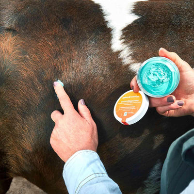 Emiko HorseCare Spezial Pflegecreme 150ml pastöse, gut haftende Creme zur Anwendung bei hartnäckigen