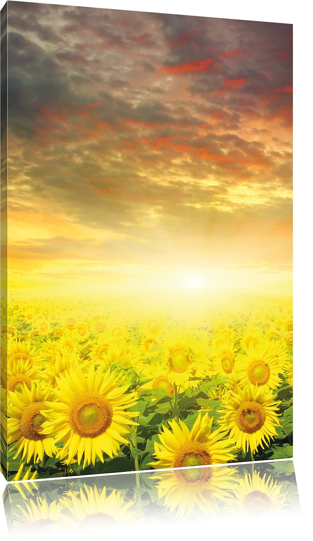 Sonnenblumenfeld, Format: 100x70 auf Leinwand, XXL riesige Bilder fertig gerahmt mit Keilrahmen, Kun