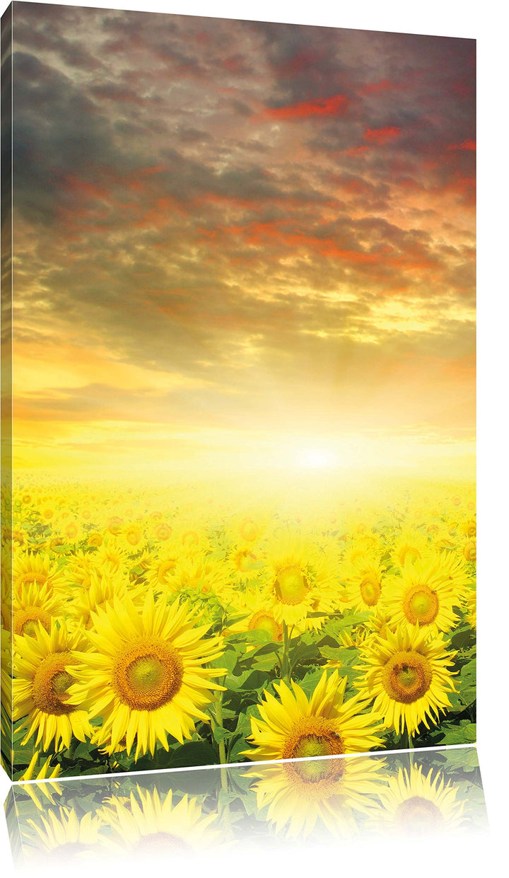 Sonnenblumenfeld, Format: 100x70 auf Leinwand, XXL riesige Bilder fertig gerahmt mit Keilrahmen, Kun