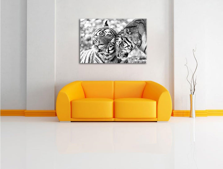 Pixxprint Zwei liebkosende Tiger Kunst B&W, Format: 100x70 auf Leinwand, 100x70