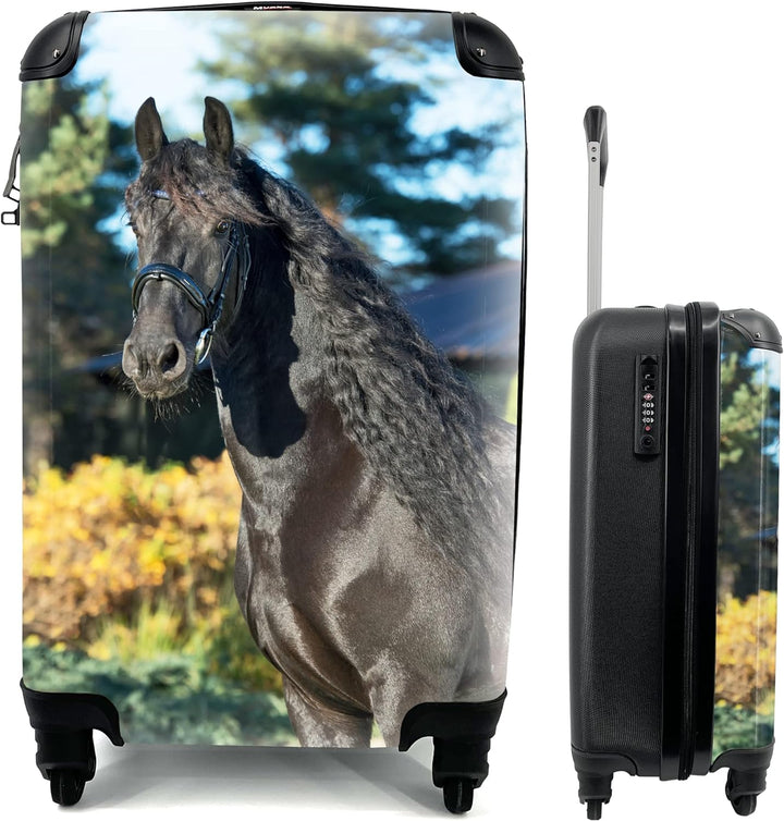 MuchoWow© Koffer Handgepäck Trolley Rollkoffer Kleine Reisekoffer mit 4 Rollen - Sonne - Friesisch -