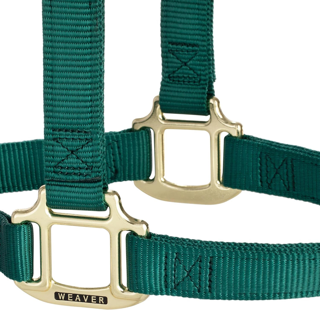 WEAVER Leather, Nicht verstellbares Halfter Jäger-Grün Average Horse, Jäger-Grün Average Horse