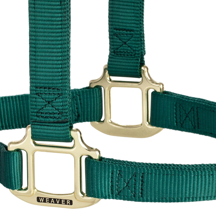 WEAVER Leather, Nicht verstellbares Halfter Jäger-Grün Average Horse, Jäger-Grün Average Horse