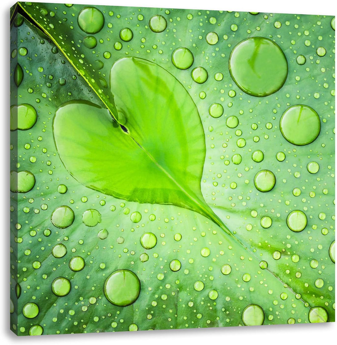 Pixxprint Herz aus Tautropfen auf einem Blatt, Format: 70x70 auf Leinwand, 70x70