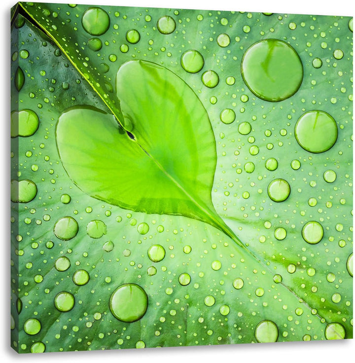 Pixxprint Herz aus Tautropfen auf einem Blatt, Format: 70x70 auf Leinwand, 70x70