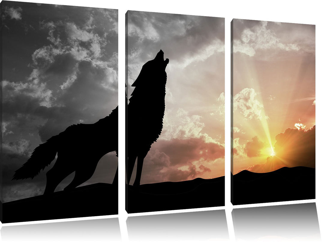 Pixxprint Wolf Heulen als Leinwandbild/Grösse: 3 Teilig (120x80 cm) cm/Wandbild/Kunstdruck/fertig be