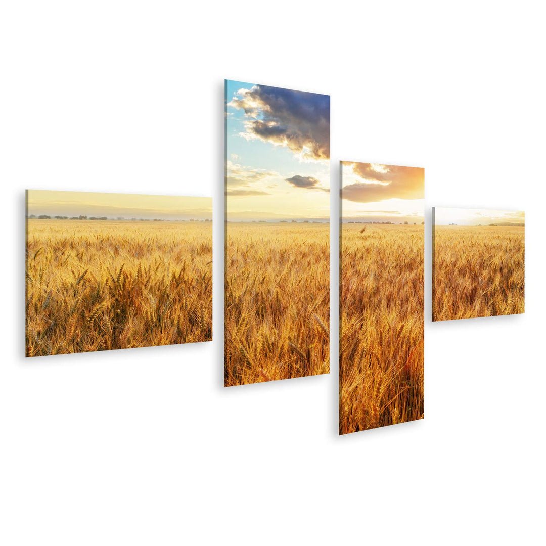 Bild Bilder auf Leinwand Sonnenuntergang über dem Weizenfeld Wandbild Poster Leinwandbild RBI 150x80