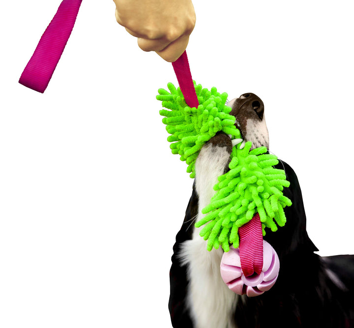 Dingo Mop Bungee Grün Mikrofaser mit Vanille Duft Ball Hundespielzeug Agility Apporte zum Spielen Ta