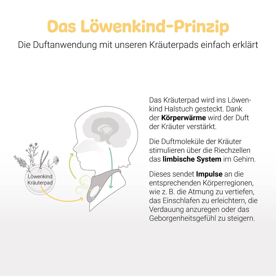 Löwenkind Einsteigerbox "Newborn" Grau mit Rotznäschen- und Gute-Nacht-Pads- Kräuterpads zur natürli