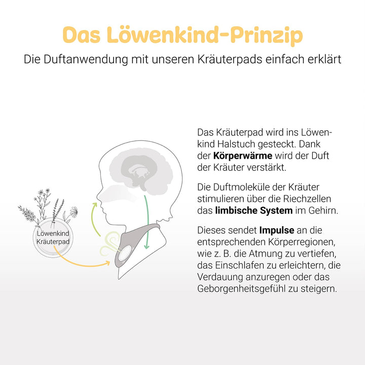 Löwenkind Einsteigerbox "Newborn" Grau mit Rotznäschen- und Gute-Nacht-Pads- Kräuterpads zur natürli