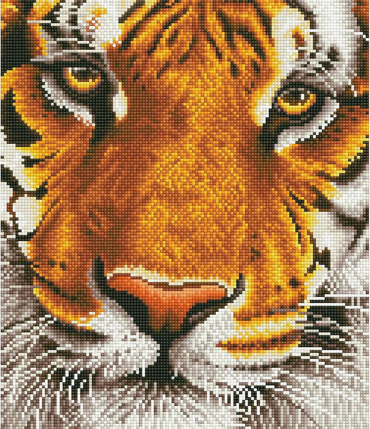 DIAMOND DOTZ DD8.001 - Original 5D Diamond Painting Set Bengal Tiger Magie, Kreativset mit 18.250 Di