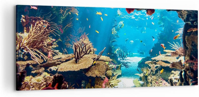 Wandbilder Dekoration Wohnzimmer Ozean Riff Fische Koralle Panorama Bilder auf Leinwand 120x50cm Lei