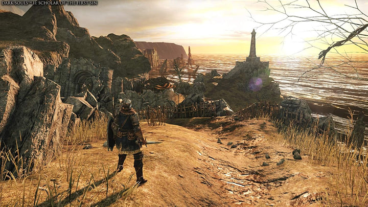 Dark Souls Trilogy [PlayStation 4] PlayStation 4 Standard, PlayStation 4 Standard