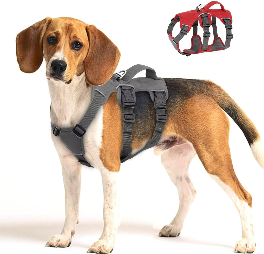 Beirui Ausbruchsicheres Hundegeschirr für kleine, mittelgrosse und grosse Hunde, reflektierendes Hun