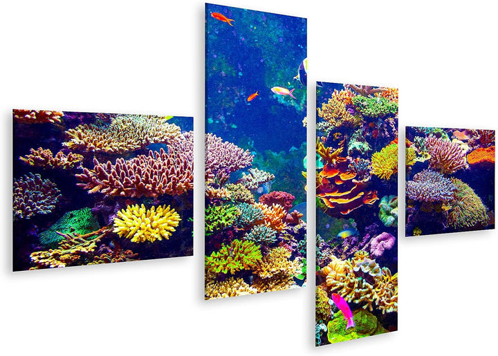 islandburner Bild auf Leinwand Singapur Aquarium Korallenriff Tropische Fische Sonnenlicht Bilder Wa