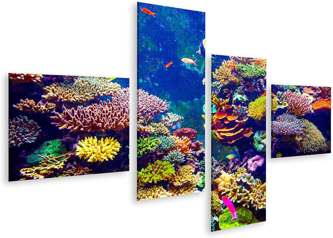 islandburner Bild auf Leinwand Singapur Aquarium Korallenriff Tropische Fische Sonnenlicht Bilder Wa