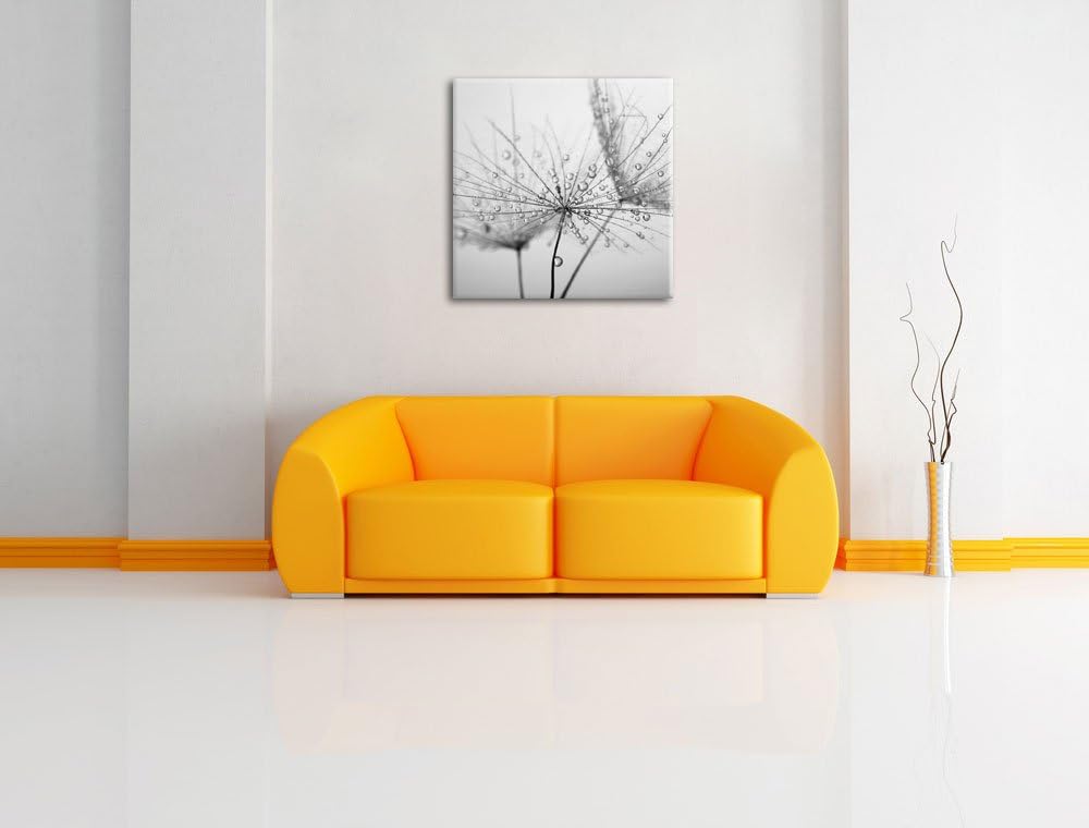 Pixxprint Pusteblume bedeckt mit Tropfen Schwarz/Weiss, Format: 70x70 auf Leinwand, 70x70