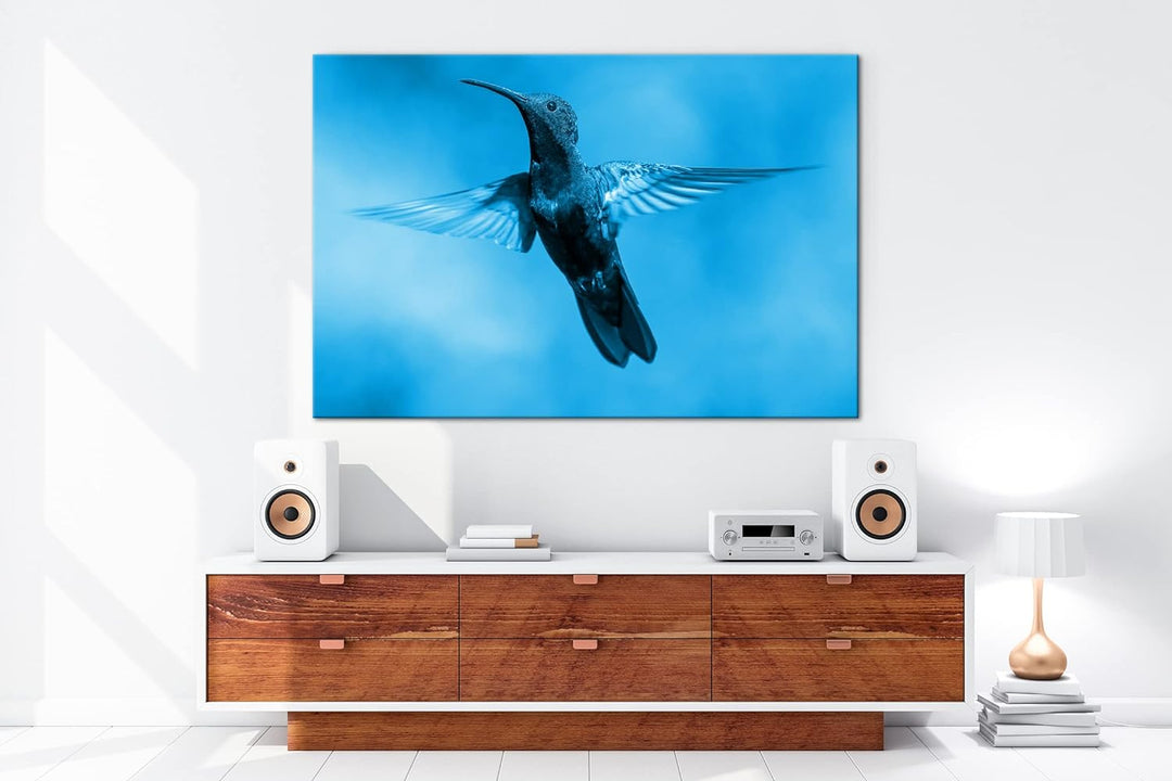deyoli flinker Kolibri Format: 80x60 Effekt: Monocrome Blau als Leinwand, Motiv fertig gerahmt auf E