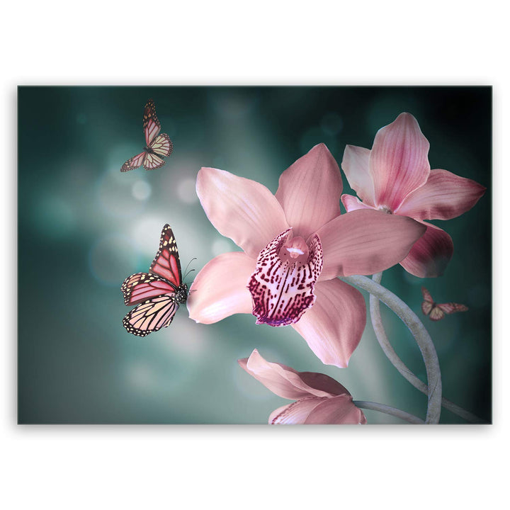 ge Bildet Bild auf Leinwand | Pflanzen-Bilder Orchideen mit Schmetterlingen K in 70x50 cm als Wandbi