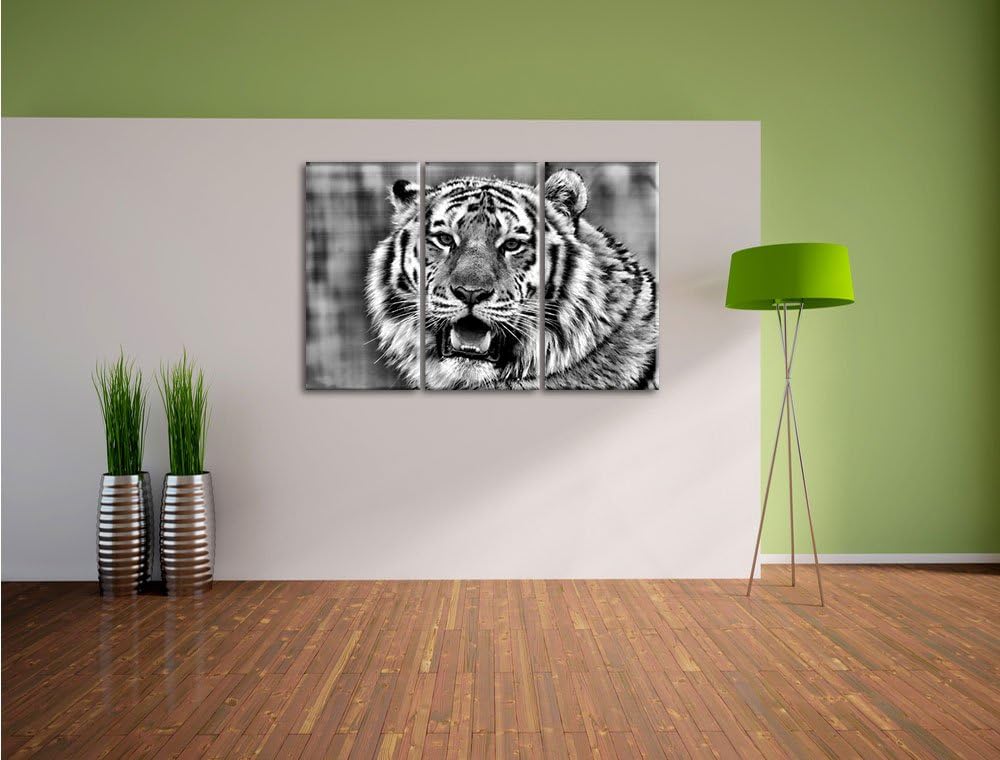 Pixxprint Tiger mit offenem Maul als Leinwandbild/Grösse: 3 Teilig (120x80) cm/Wandbild/Kunstdruck/f
