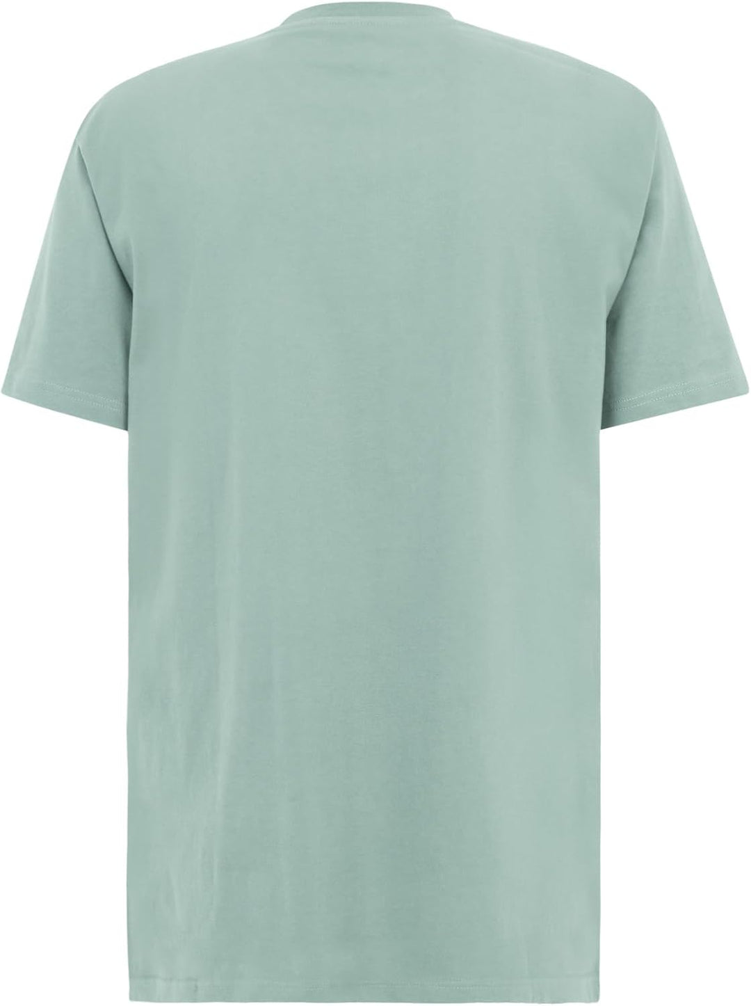 IRIEDAILY Herren T-Shirt Lazy Sunny Day EMB Bio-Baumwolle Regular Fit L Mint Haze, L Mint Haze