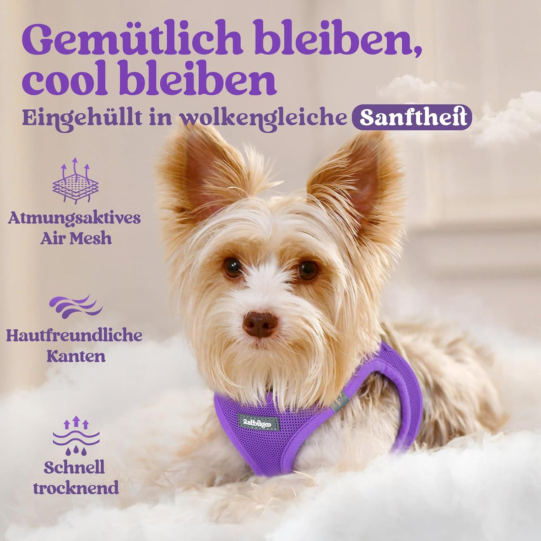 rabbitgoo Hundegeschirr Kleine Hunde, Step-in Welpengeschirr Weich Mesh für Spaziergänge, Atmungsakt