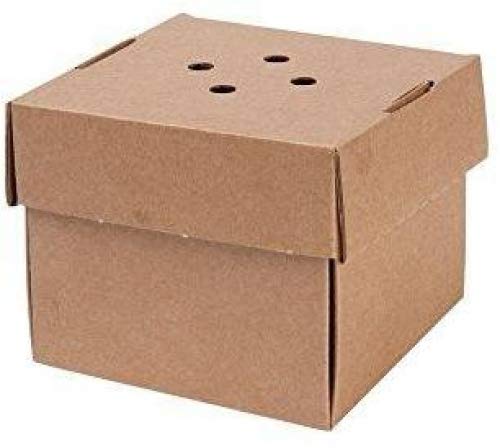 BIOZOYG 100x Burger-Box Karton mit Klappdeckel I Bio Hamburger Karton Kompostierbare Verpackung Burg