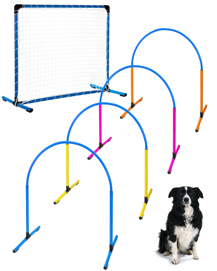 Hoopers Anfänger‑Set – 4 Hoops & Gate – VDH‑konform, UV‑beständig & flexibel – Blaue Hoops mit bunte