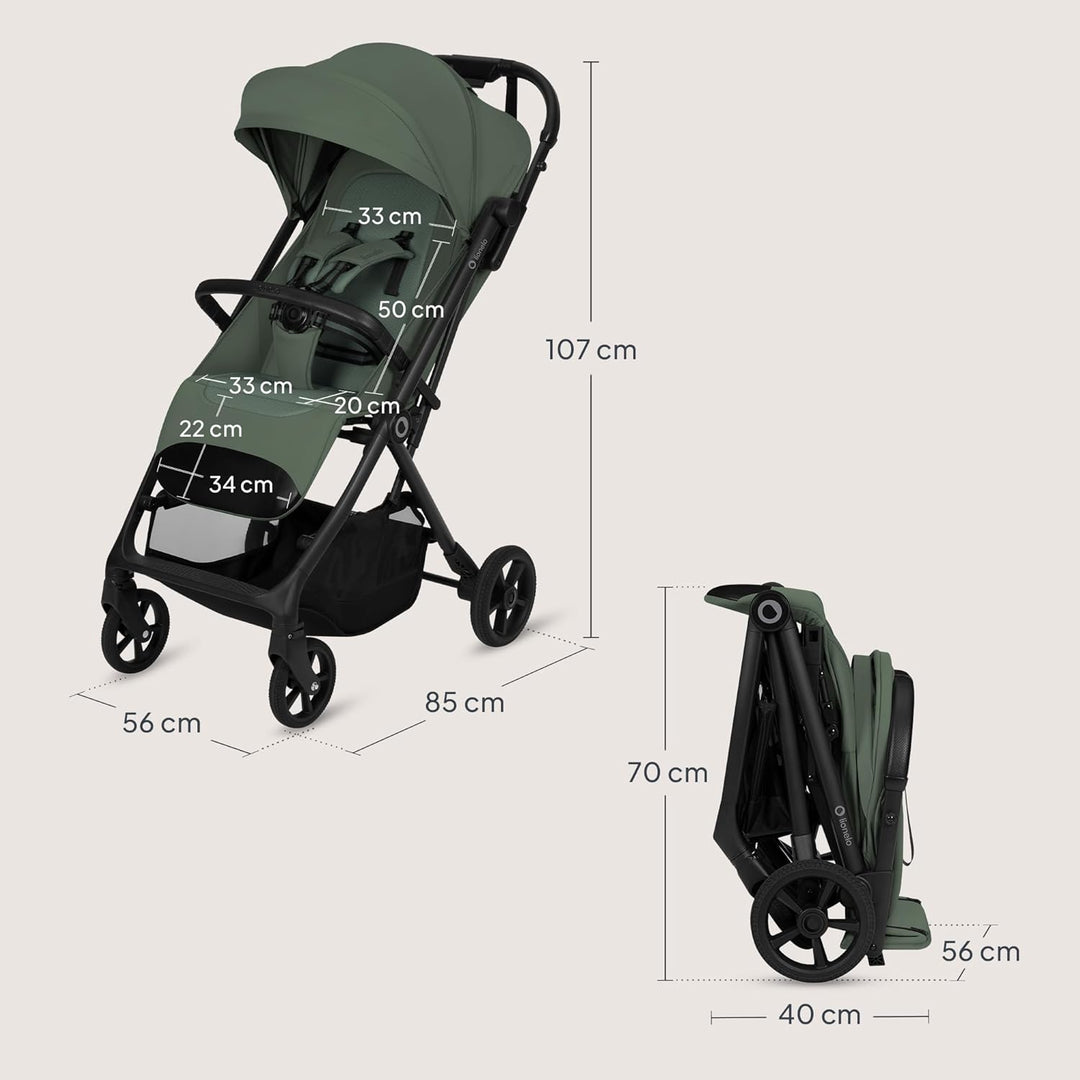 Lionelo Tansi Reisebuggy bis 22 kg, 6 Monate–4 Jahre, Kompakt Faltbar mit Einhand Auto Folding, Grav