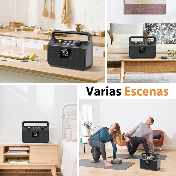 20000mAh Bluetooth Radio mit Handyladefunktion, DAB/FM Radio mit TF Karte, AUX IN, TFT Bildschirm, A
