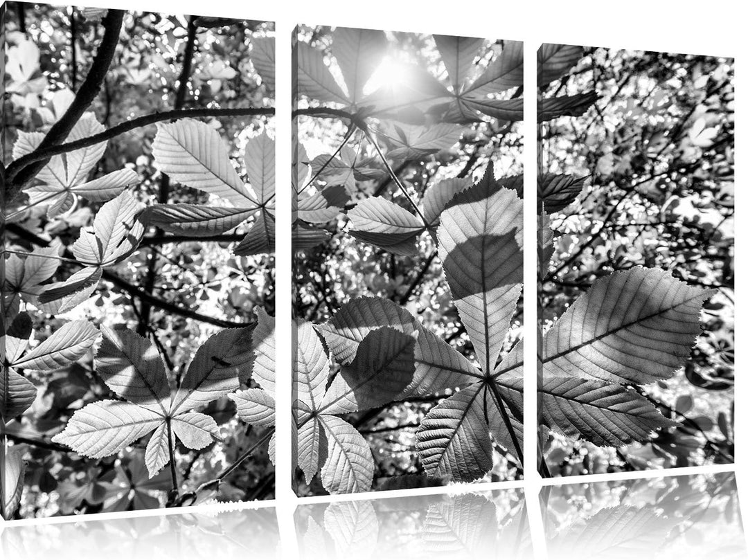 Pixxprint Monocrome, Grüne Blätter 3-Teiler Leinwandbild 120x80 Bild auf Leinwand