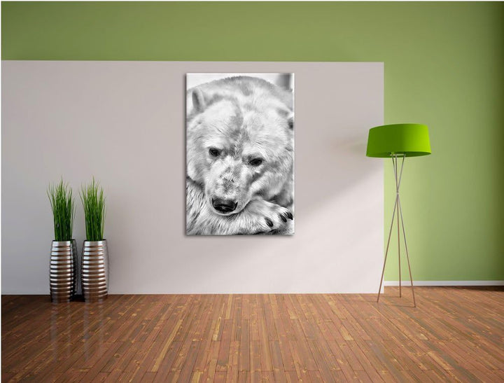 Pixxprint Nachdenklicher Eisbär als Leinwandbild/Grösse: 100x70 cm/Wandbild/Kunstdruck/fertig bespan
