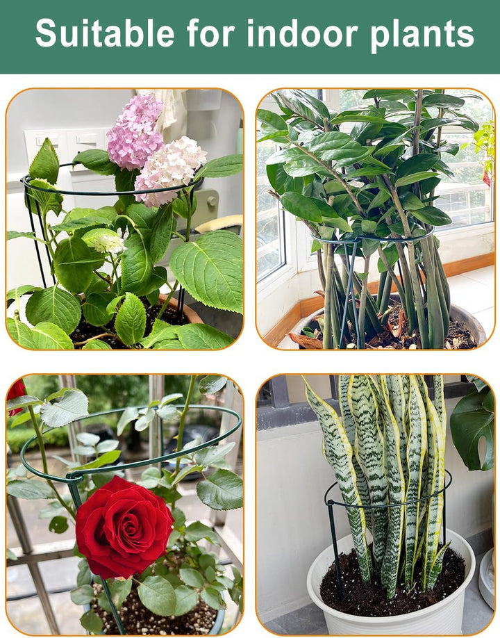 TOYPOPOR 10 Stück 25cm x 41cm Pflanzenstütze, Metall-Garten-Pflanzenpfähle, halbrund, Pflanzenstützr