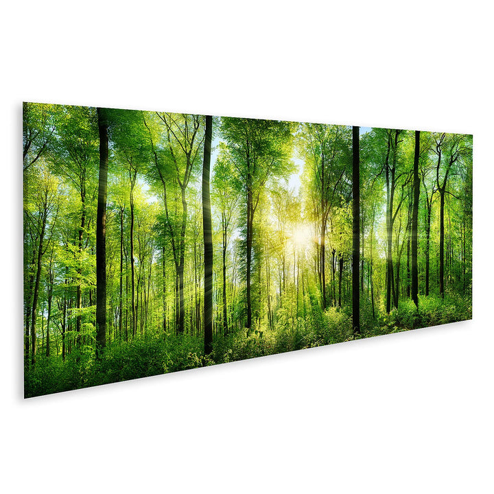 islandburner Bild auf Leinwand Malerischer Wald Grüne Laubbäume Bilder Wandbilder Poster Leinwand 12