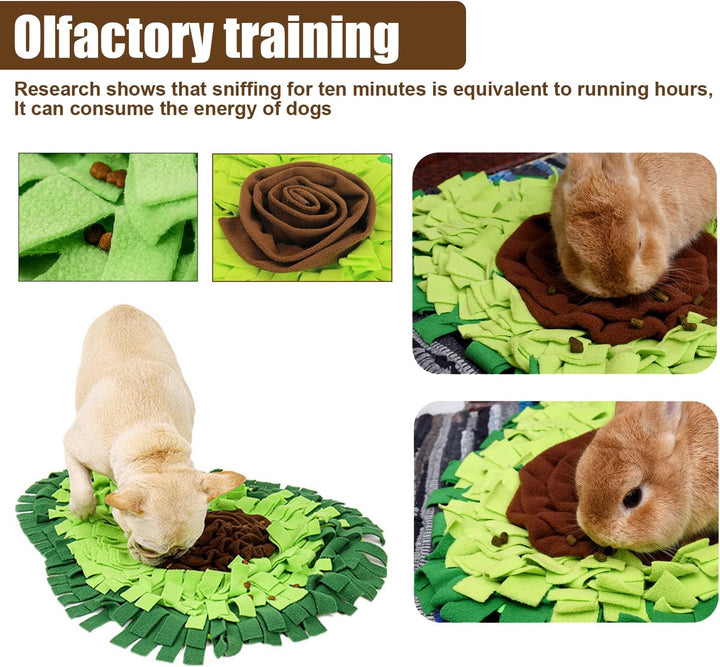 Schnüffelteppich Hund Futtermatte Schnüffeldecke Hundespielmatte - Hundematte Snuffle Pad in Avocado