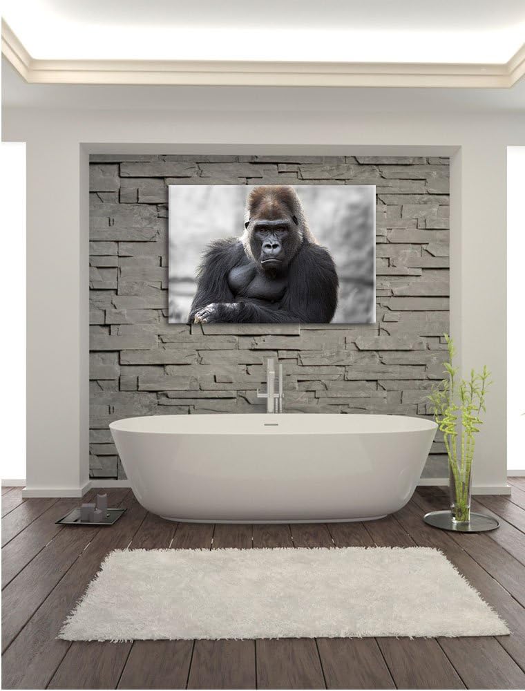 Pixxprint gelangweilter Gorilla als Leinwandbild/Grösse: 100x70 / Wandbild/Kunstdruck/fertig bespann