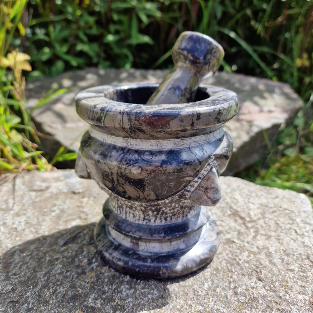 Budawi® Orthoceras Gewürz Mörser mit Stössel – Handgefertigter Küchenmörser aus Naturstein – Fossile