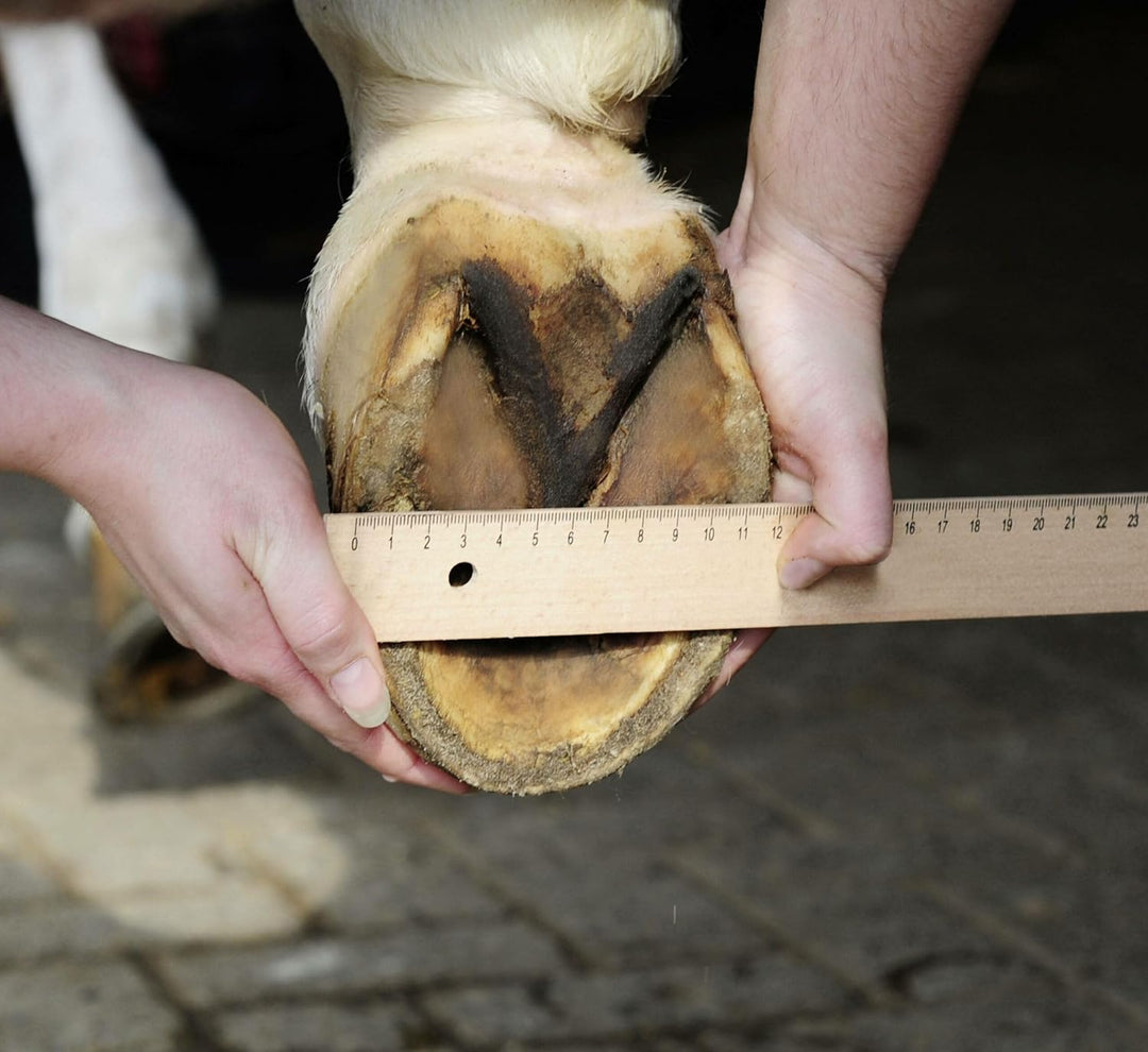 HKM Hufschuhe für Pferde – Pferdehufschuh Pferdeschuh mit rutschhemmender Schuhsohle & weicher Polst