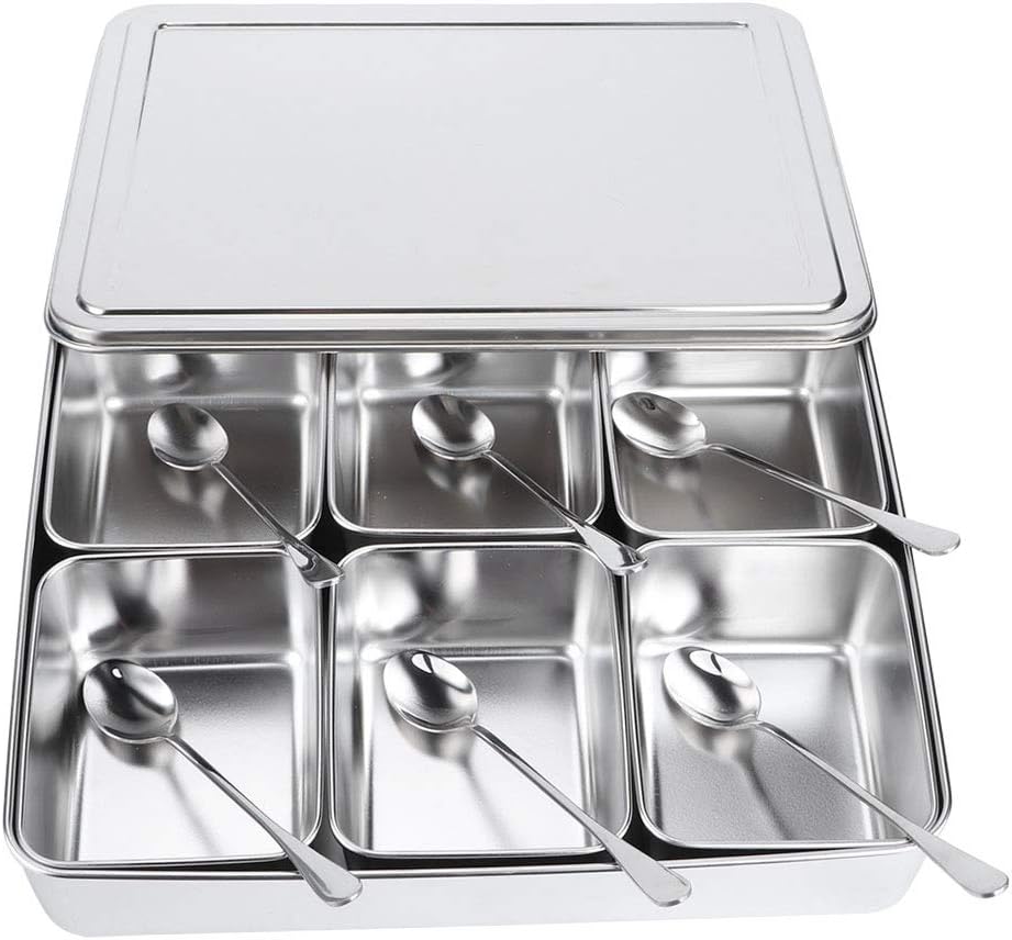 Haofy Edelstahl-Gewürzbox, Gewürzvorratsbehälter mit 6 Gittern, Gewürzglasbehälter-Set mit Löffeln K
