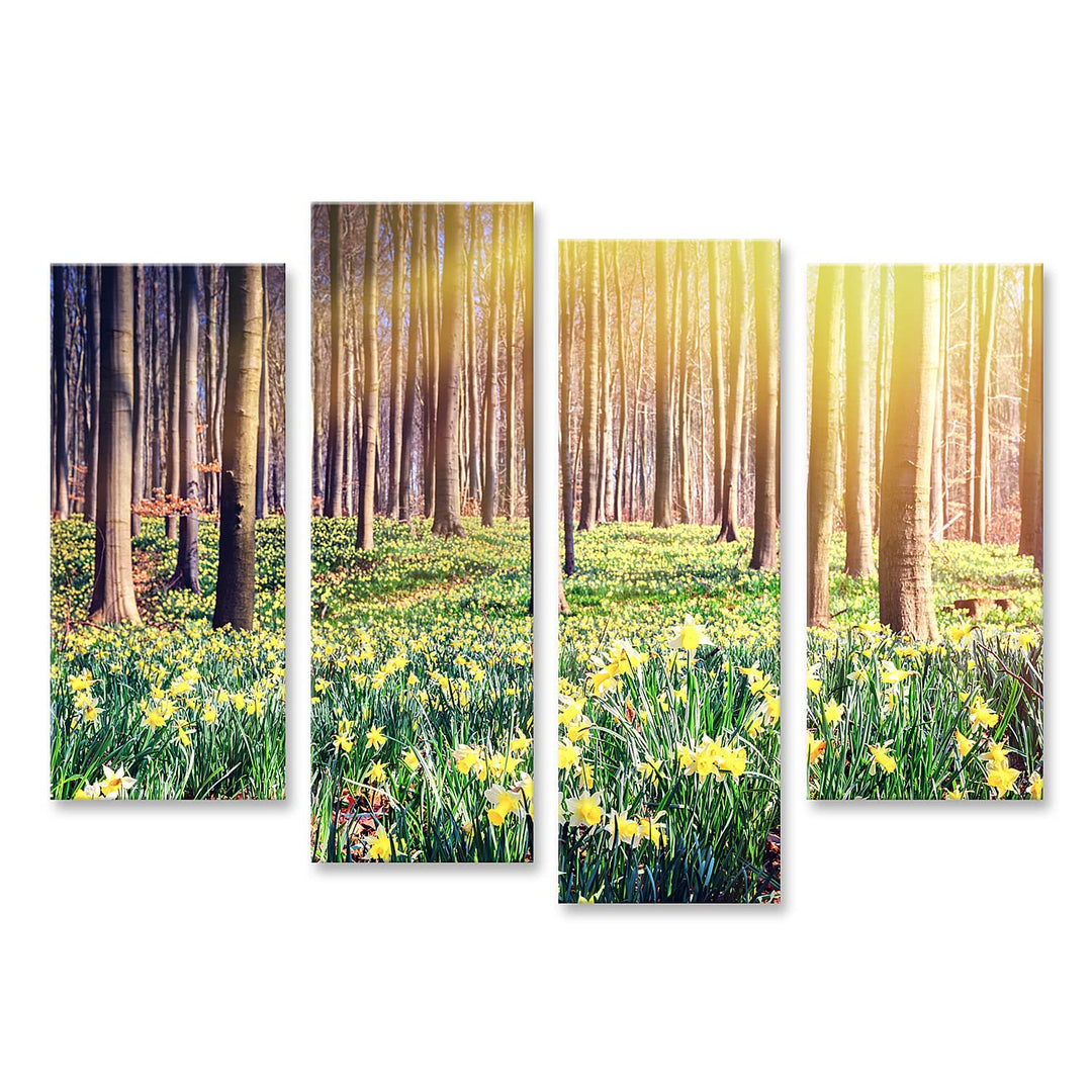 islandburner Bild auf Leinwand Frühling Wald Bedeckt Gelbe Narzissen Landschaft Bilder Wandbilder Po