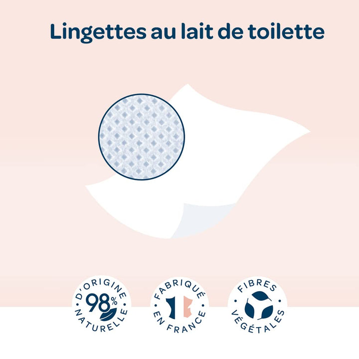 BIOLANE - 12 Packungen – Babytücher mit Toilettenmilch – Baby – 864 Babytücher – reinigt und spendet