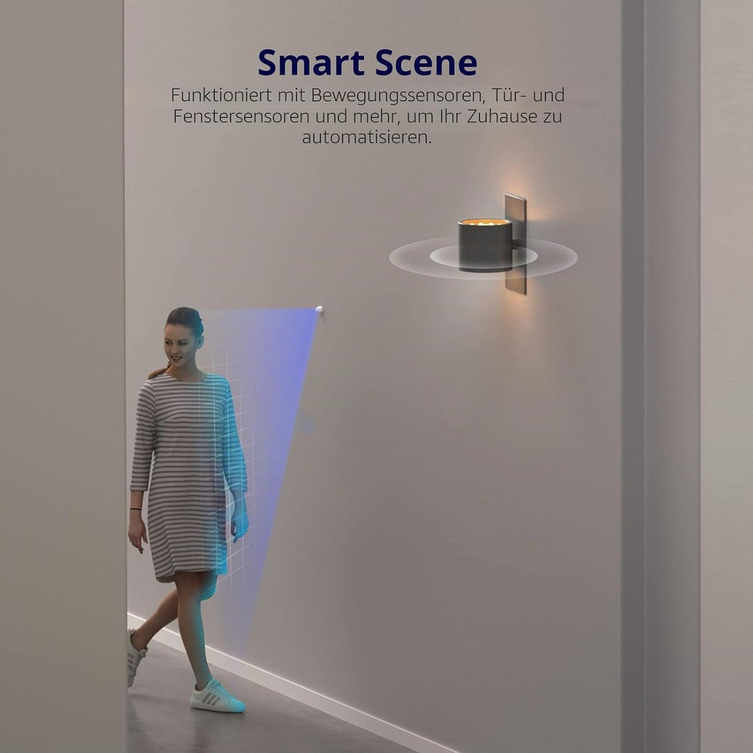 SONOFF 2PCS MINIR4 Smart Wlan Schalter, WiFi Schalter mit Timing-Funktion, Relay Split Mode, 2.4G Wi