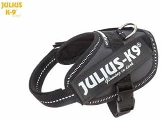 JULIUS K-9 IDC Powergeschirre Anthrazitgrau mit individuelle Klettaufschriften Bundle optionale Grös