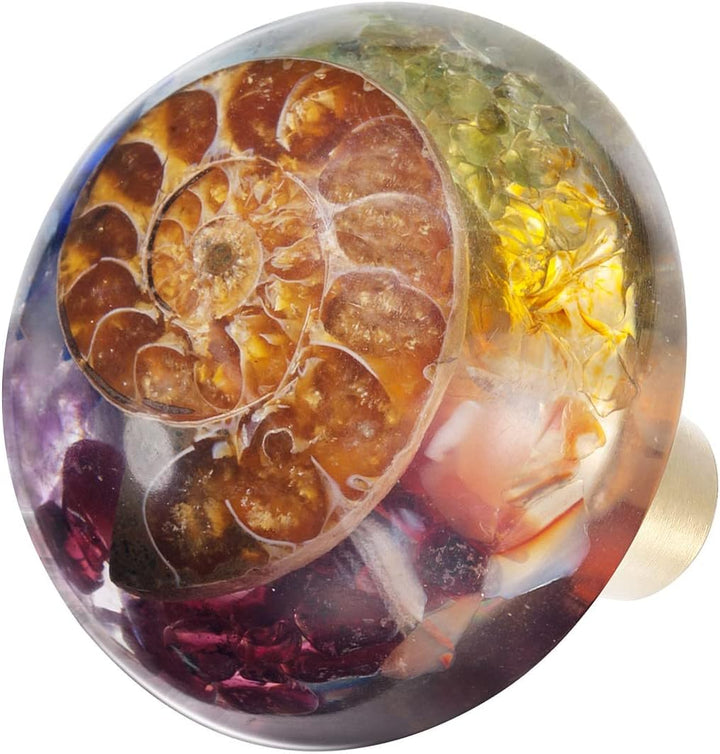 mookaitedecor 7 Chakra Schubladen Knöpfe mit Schrauben Satz von 2, Ammonit Fossil Harz dekorative Kr
