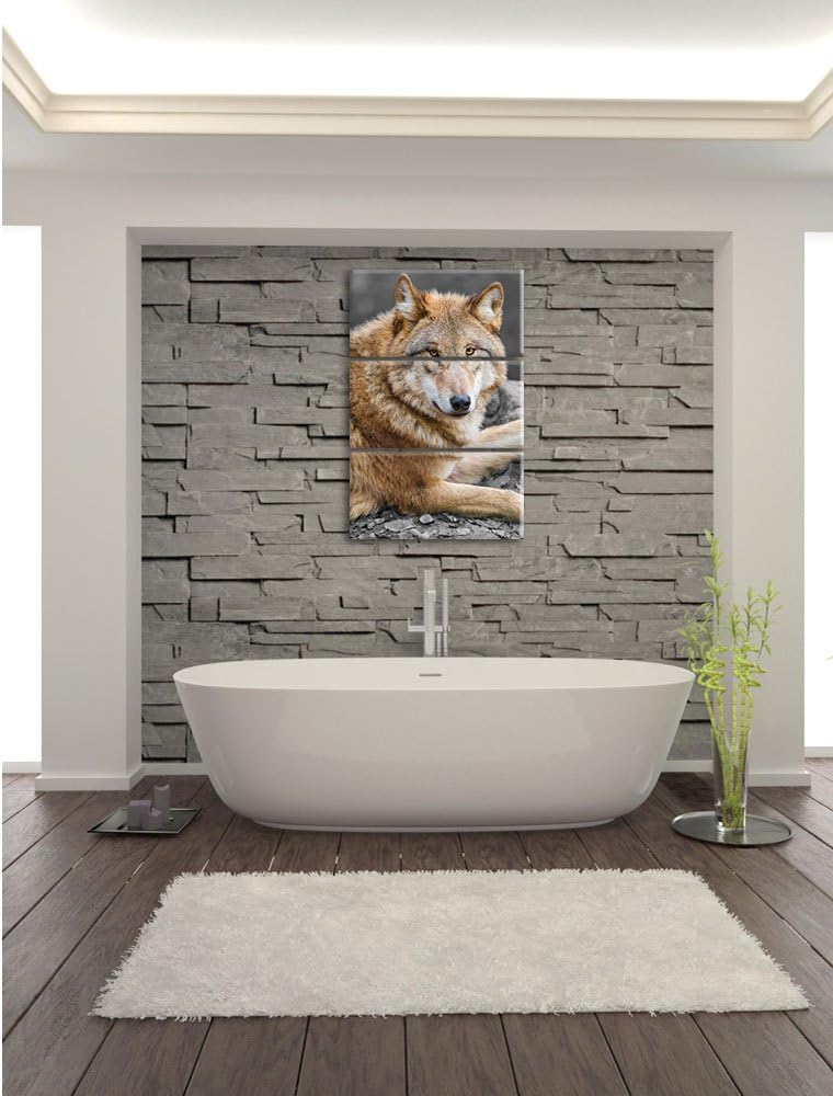 Pixxprint stolzer Wolf auf Stein als Leinwandbild/Grösse: 3 Teilig (120x80) cm/Wandbild/Kunstdruck/f