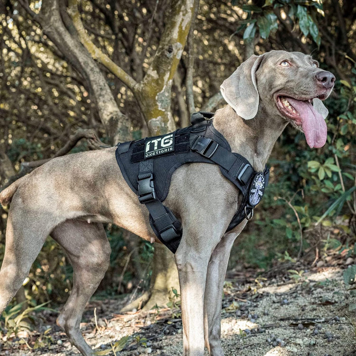 OneTigris Upgraded Fire Watcher 2.0 mit Strapazierfähiger Metallschnalle, Taktische Hundegeschirr mi